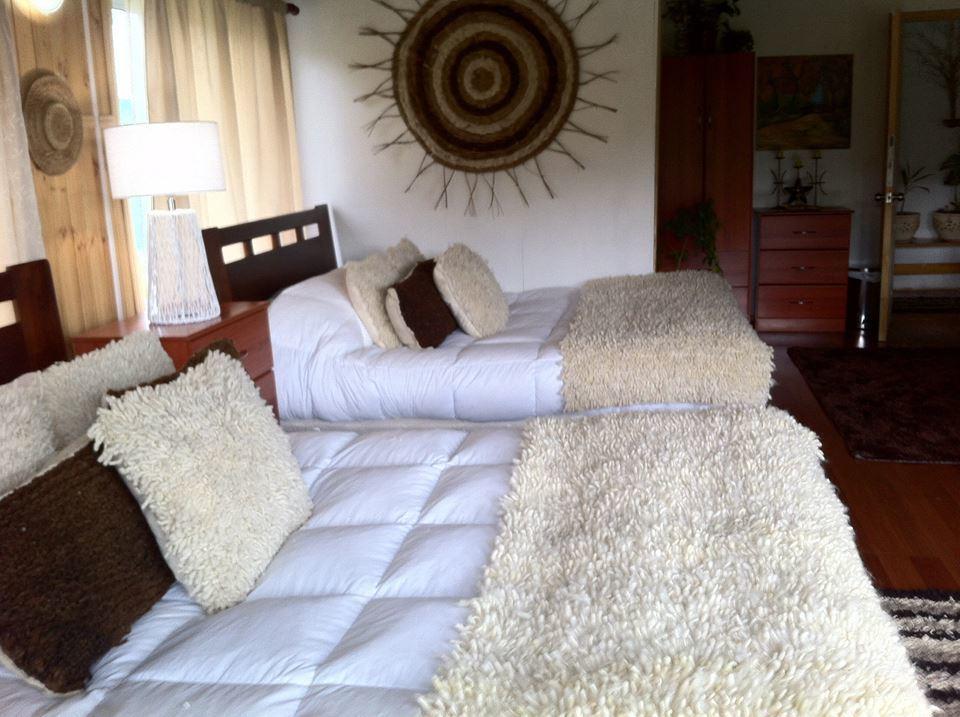 Lodge Guarida Del Trauco Puqueldon Kültér fotó